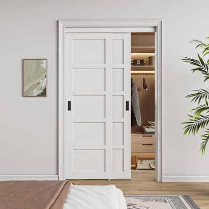 CRUTOP Paintable Bypass Slidng Door Panels with Hardware Kit, 5-Lite Panle Door Slab Shaker for Bedroom/Closet/Barn - Assemble Required